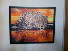  "Giaguaro in Agguato" Dims