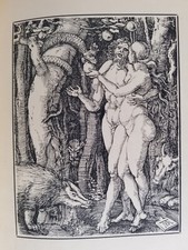 Albrecht Durer's Little