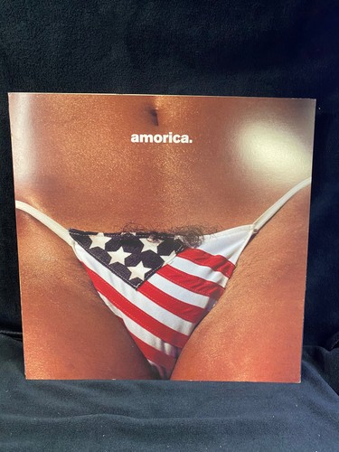 The black crowes amorica - the,