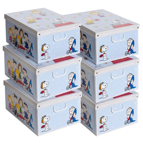 Set scatole armadio - 6,