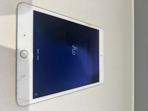 Apple ipad mini - apple,