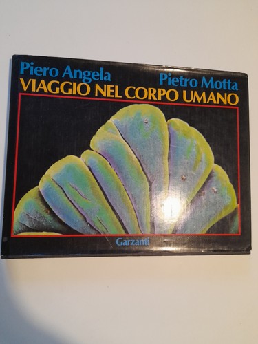 Piero angela pietro - angela,, motta
