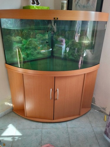 Vendo acquario juwel - acquario,
