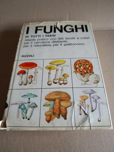 Funghi tutti paesi - tutti, (l