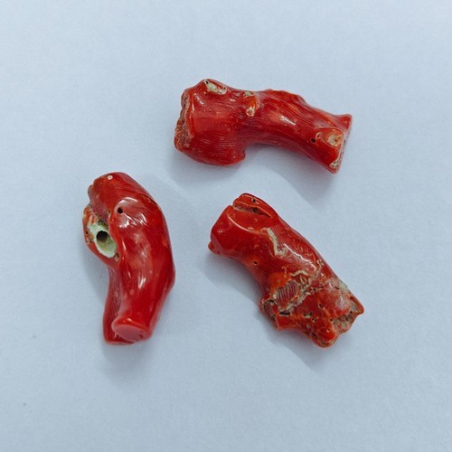 Vecchio corallo rosso - vecchio,