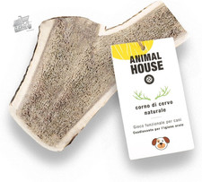 - Premium Deer Horns for