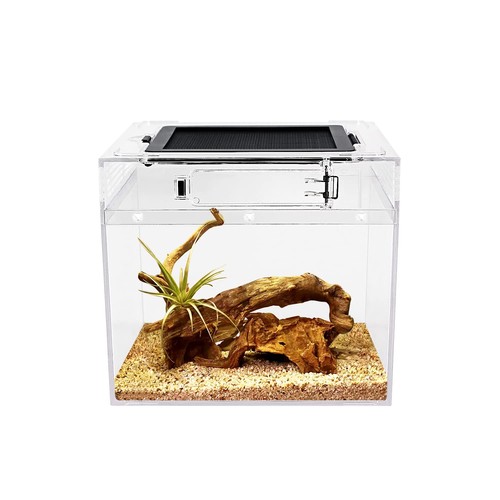 Reptile growth terrario x - pc,