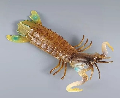 Mantis shrimp animal toy - shrimp, 6"