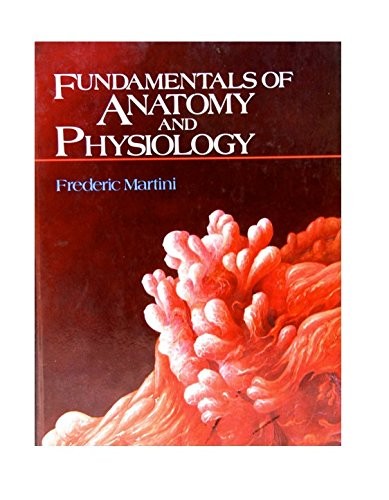 Fundamentals anatomy and - anatomy,