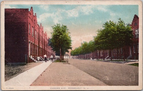 1910s roosevelt cartolina - roosevelt,,