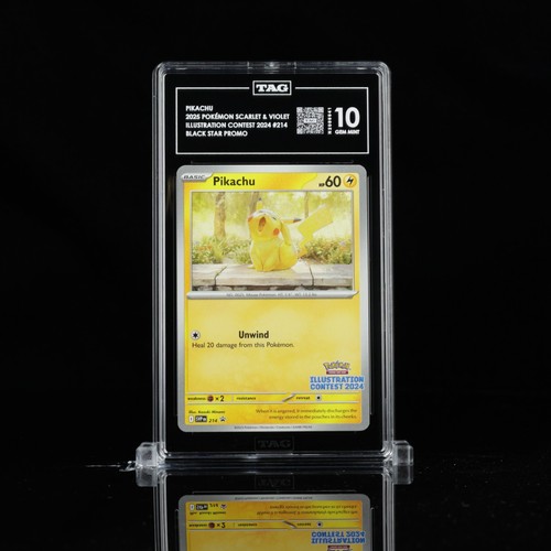 2025 pokemon pikachu 214 - -pikachu,