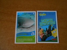 FIGURINA CARD SPONGEBOB CRAI -