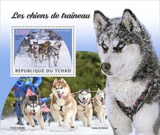 Siberian HUSKY DOGS / Sledge Working Dog MNH 1v-Stamp Foglio #67 (2021 Ciad)