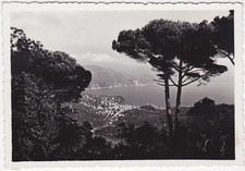 PORTOFINO VETTA - GENOVA -