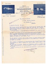 ba fattura commerciale gonzaga allevamento cani