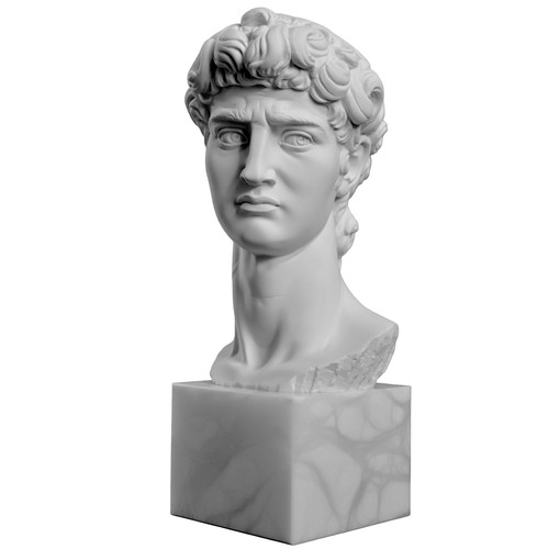 Volto david scultura - david,