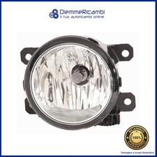 FENDINEBBIA ANTERIORE