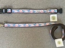 Set collare e guinzaglio cane