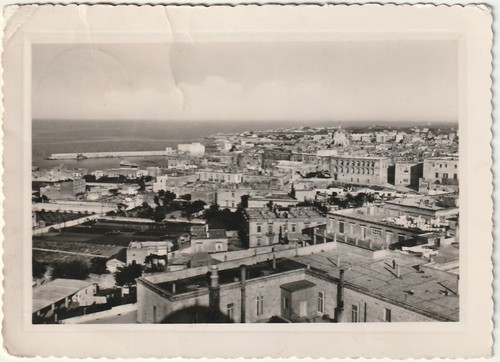 Bisceglie bari panorama - bisceglie,