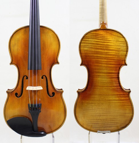 Violino fine back - fine,