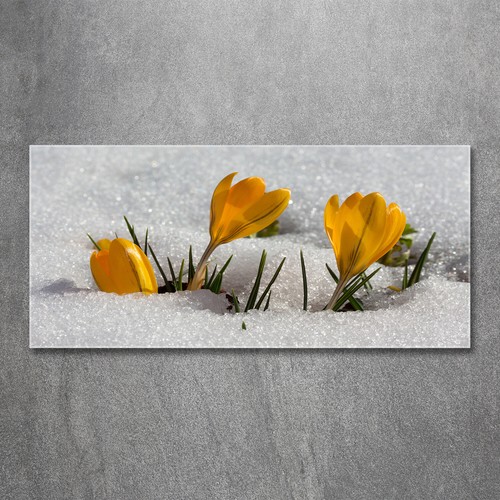 Quadro immagine arte parete - quadro,