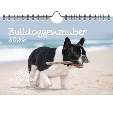 Bulldoggenzauber DIN A5 Kalender für 2026 Bulldoggen Hunde und Welpen - Seelenza