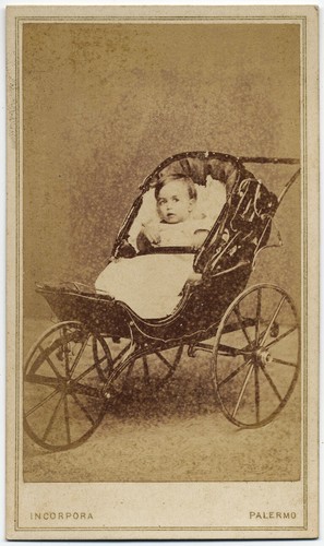 Cdv palermo bimbo - palermo,