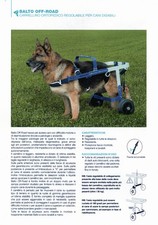 Carrellino ortopedico