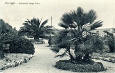 C 294 - Viareggio 1916