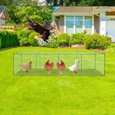 Tunnel per Pollaio, Pollaio