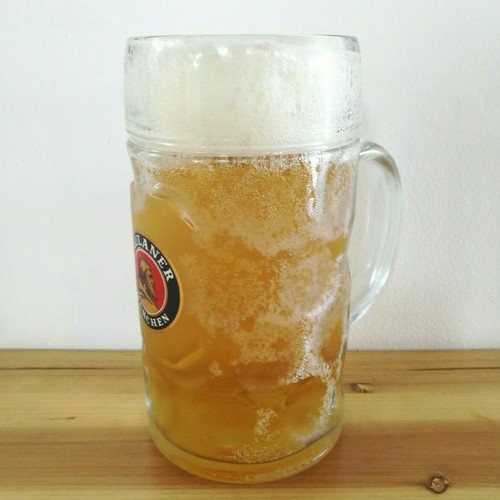 Paulaner boccale birra - boccale, di