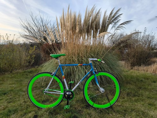 Custom single speed fixie - fixie,