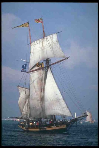 Insegna metallo barche - insegna, vela
