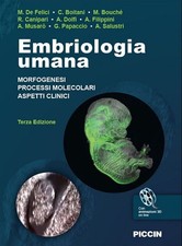 Libri De Felici Massimo -