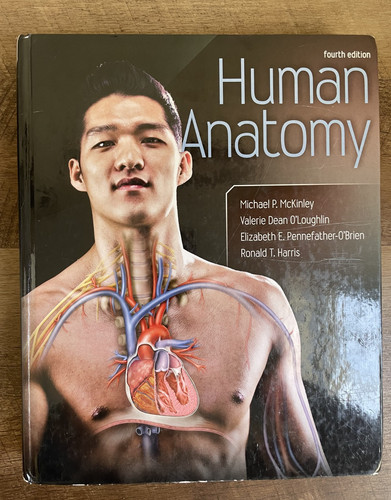 Human anatomy loughlin - human,
