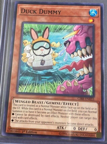Yugioh duck dummy - duck,