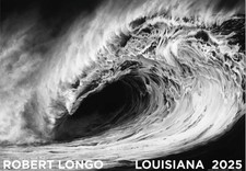 Robert Longo “Helion” (da