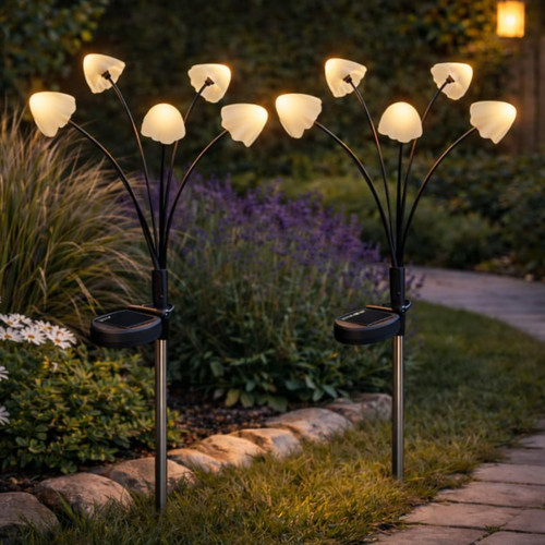 Confezione solar mushroom - confezione, 2