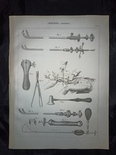 Rara Incisione Medica Metà