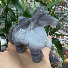 Teschio di cavallo intagliato