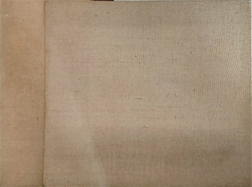 Canestrini giovanni storia - -,
