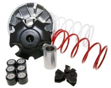 Variatore MALOSSI Multivar