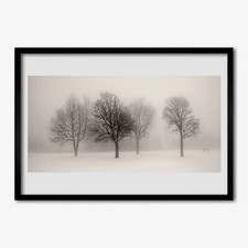 MDF incorniciato foto 70x50