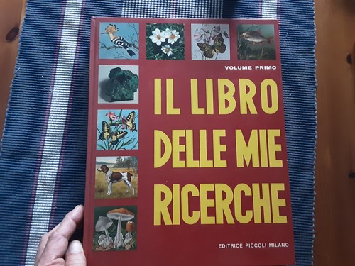 Libro delle mie ricerche - il,