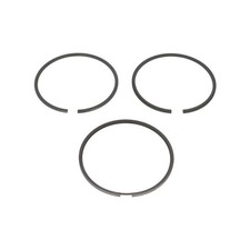 SET ANELLO PISTONE PELLICCIA