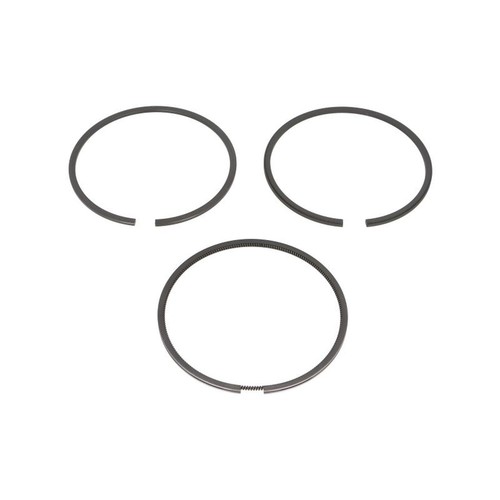 Set anello pistone pelliccia - set,
