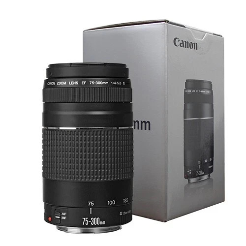 Canon 300 4 5 - 75-300, mm
