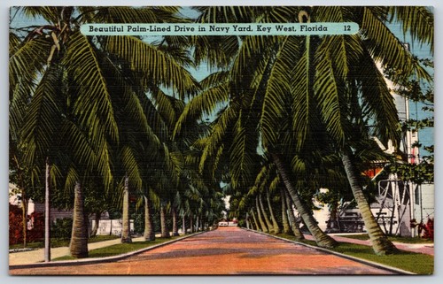 Cartolina bellissima - cartolina,
