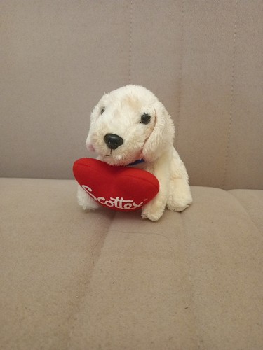 Peluche cane labrador - peluche,