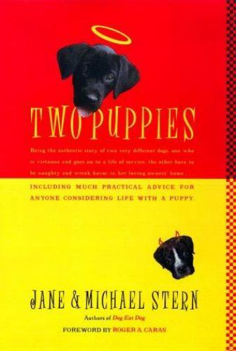 Two puppies being the - two,